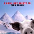 a chill out salute to pink floyd